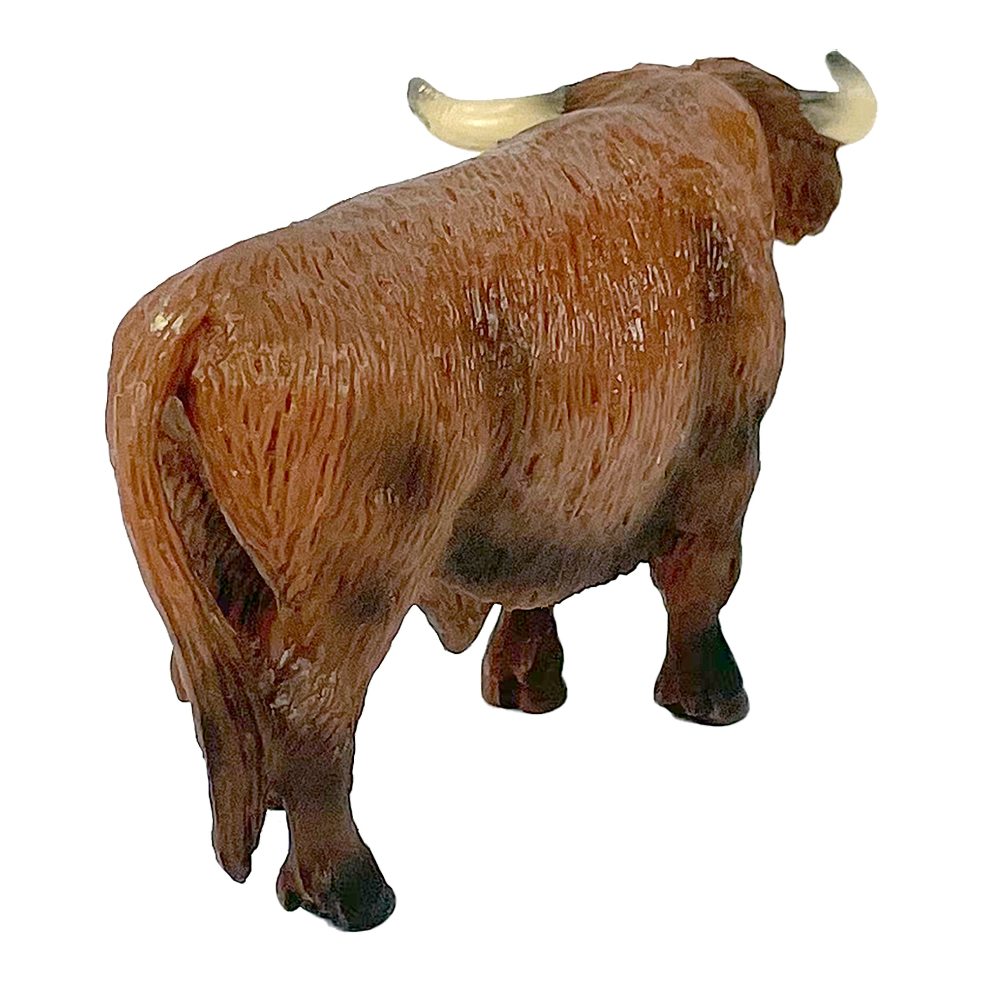 Highland Bull