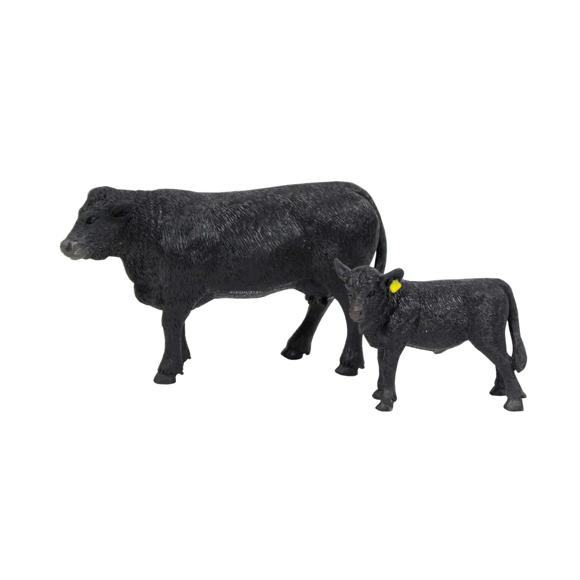 Angus Cow & Calf