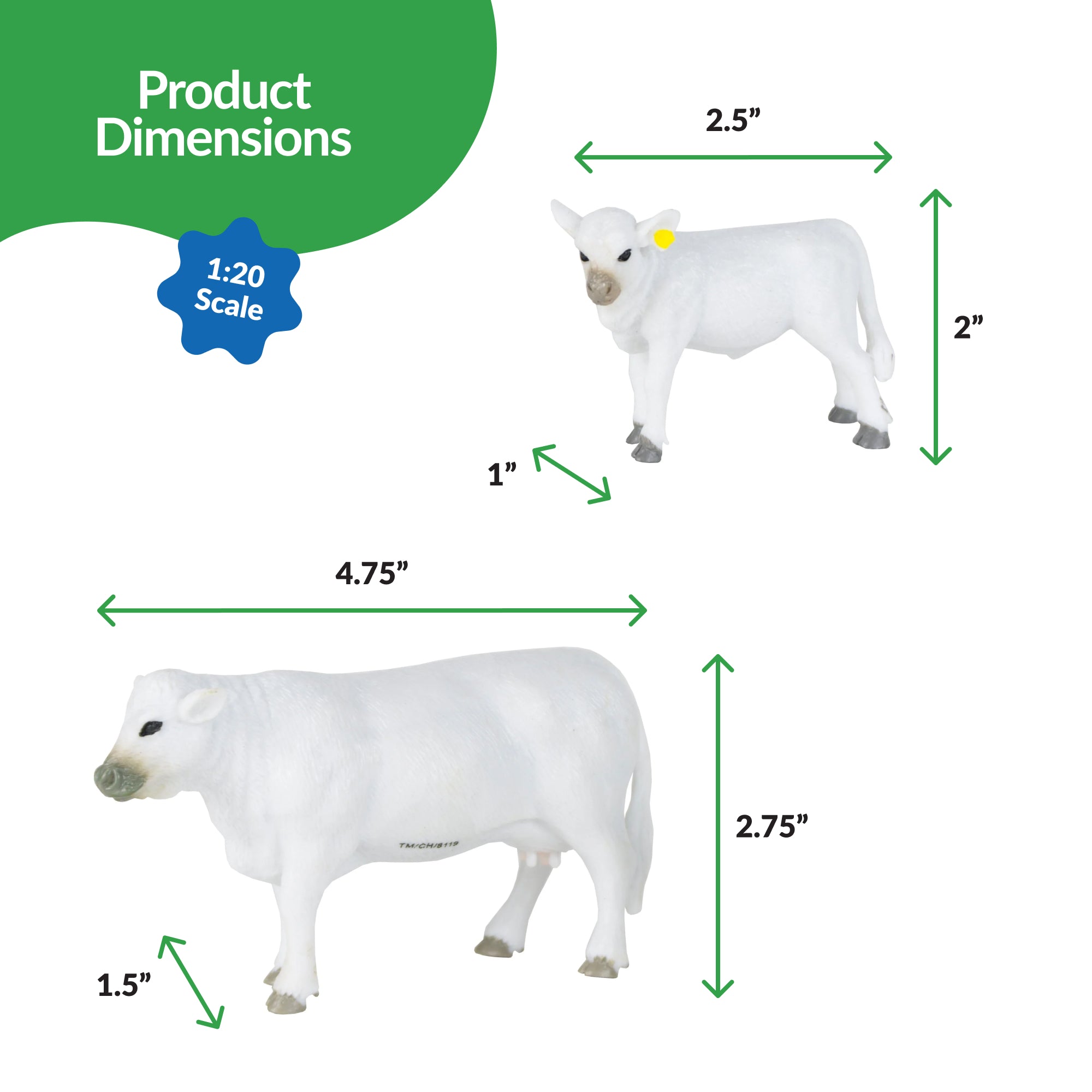 Charolais Cow & Calf