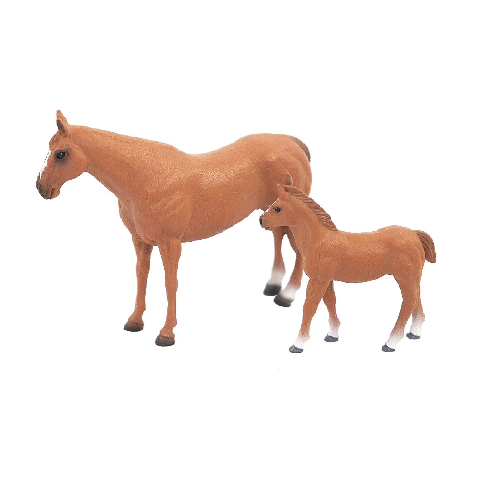 Quarter Horse Mare & Colt