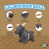 bull bull rope dual-action hand pump plug instruction - 12