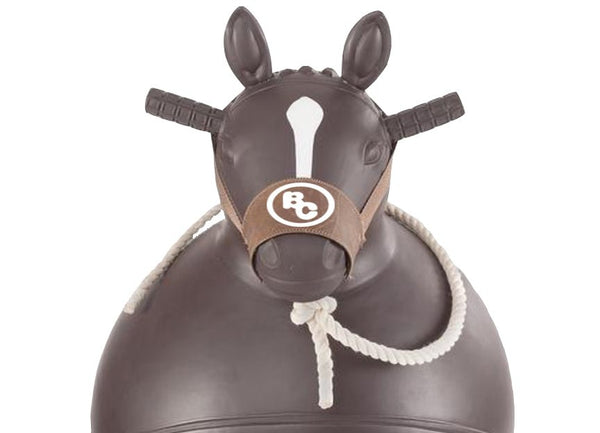 Big country toys bouncy horse store