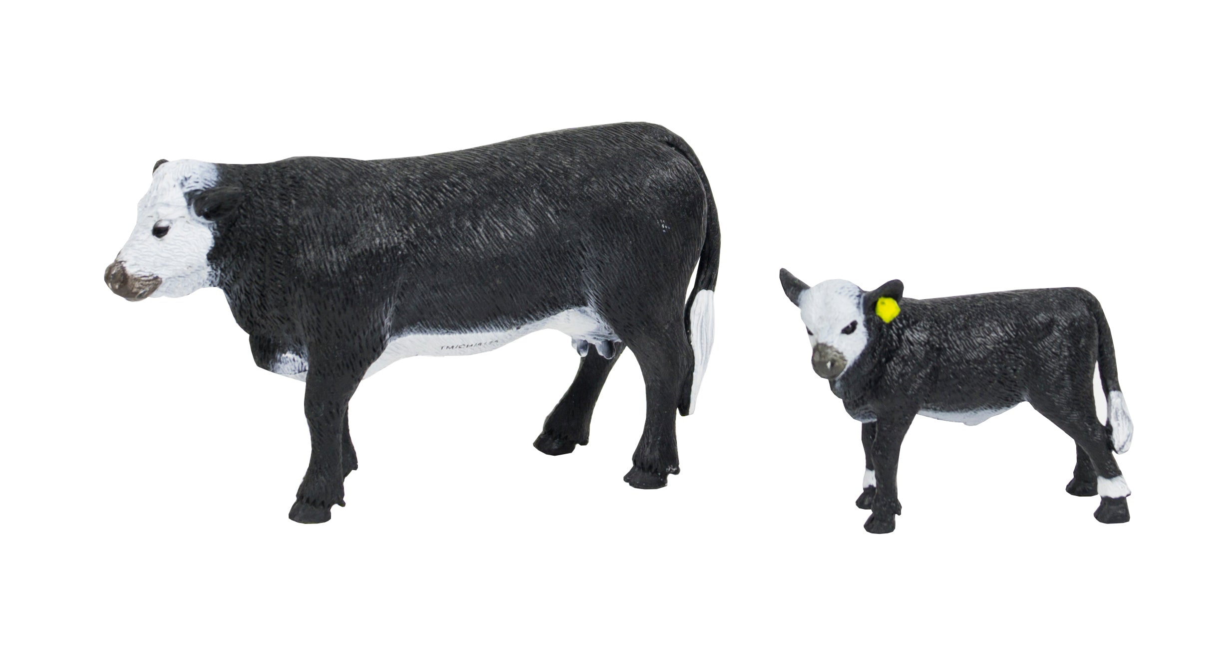 Black Baldy Cow Calf