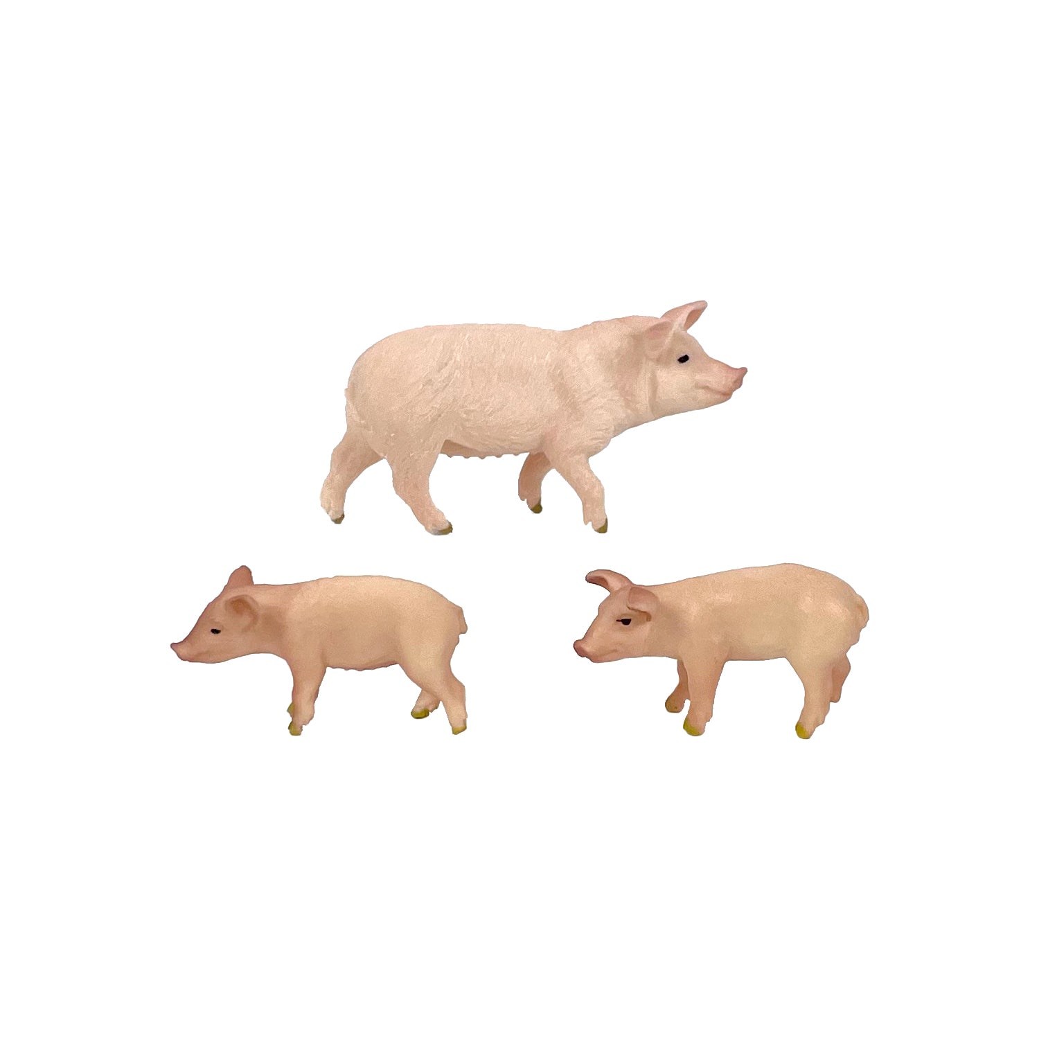 Pig & Piglets
